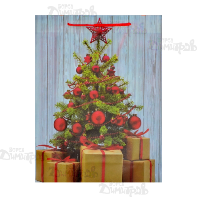 Торба НГ средна 38х30